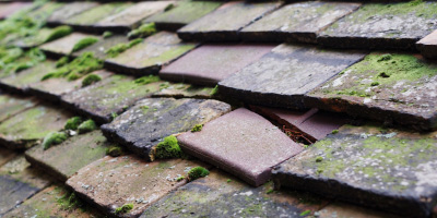 Idole roof repair costs